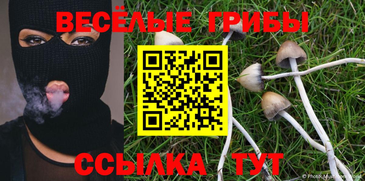 Псилоцибиновые грибы ЛСД Новозыбков